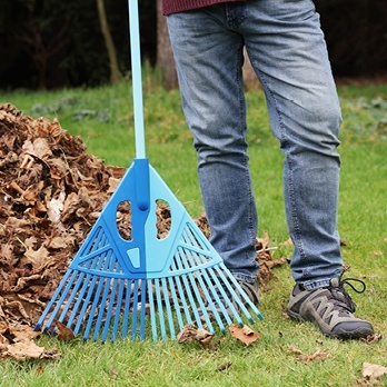 Rake Mate next to leaves