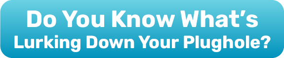 Do You Know What’s Lurking Down Your Plughole?