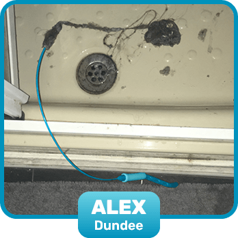 Alex, Dundee