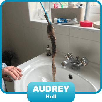 Audrey, Hull
