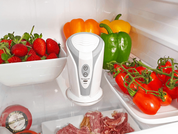 Today's Favourite Find