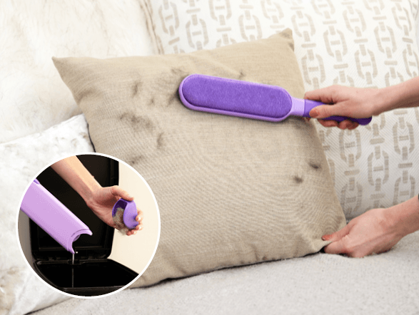 Today's Favourite Find