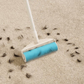 Lint Lovers