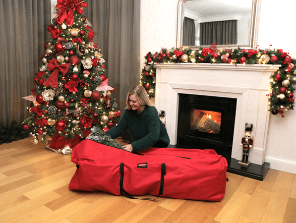 Today's Favourite Find