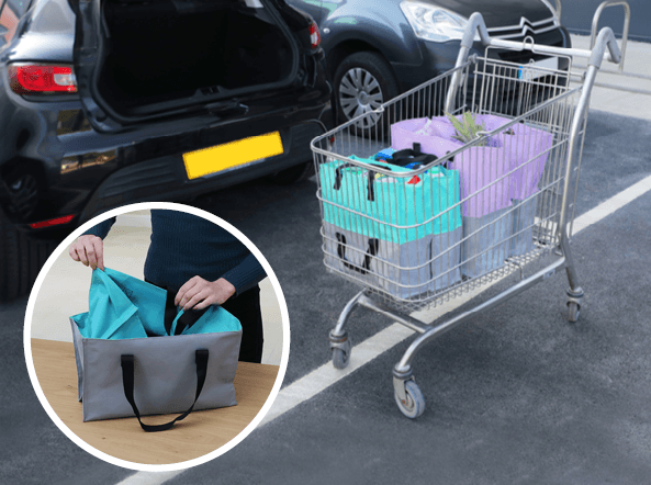 Today's Favourite Find