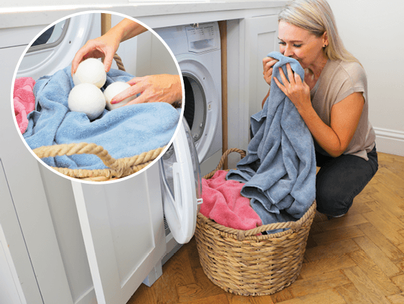 Today's Favourite Find