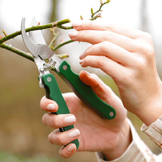 Garden Gadget 5-in-1