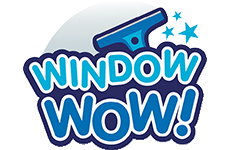 Today's Favourite Find