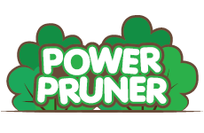 Today's Favourite Find