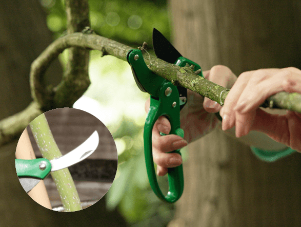 Today's Favourite Find