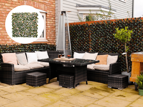 Discovery of the Month