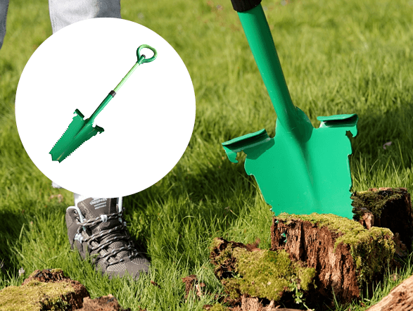 Discovery of the Month