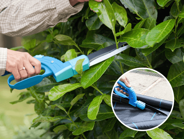 Today's Favourite Find