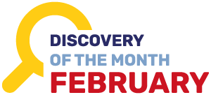 Discovery of the Month