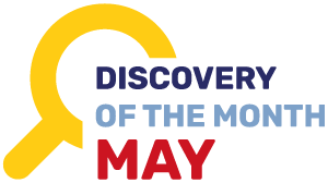 Discovery of the Month