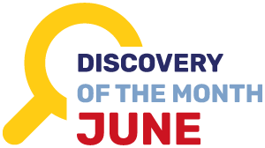 Discovery of the Month