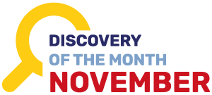 Discovery of the Month