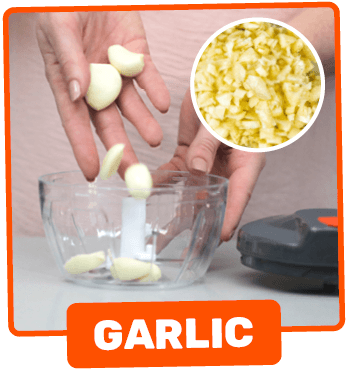Garlic