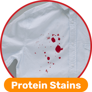 Protein Stains