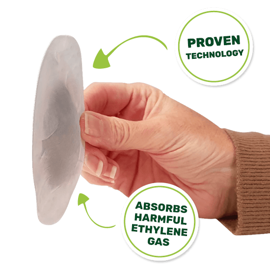 How do Fresh Discs work?