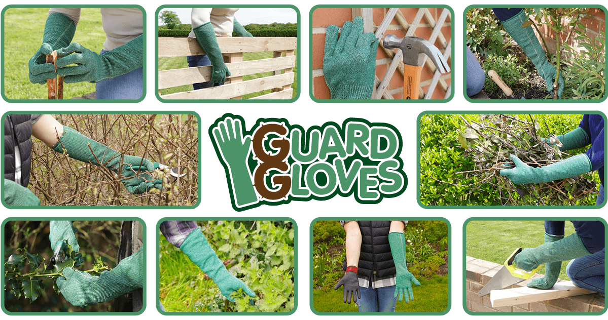 Uses of Guard Gloves