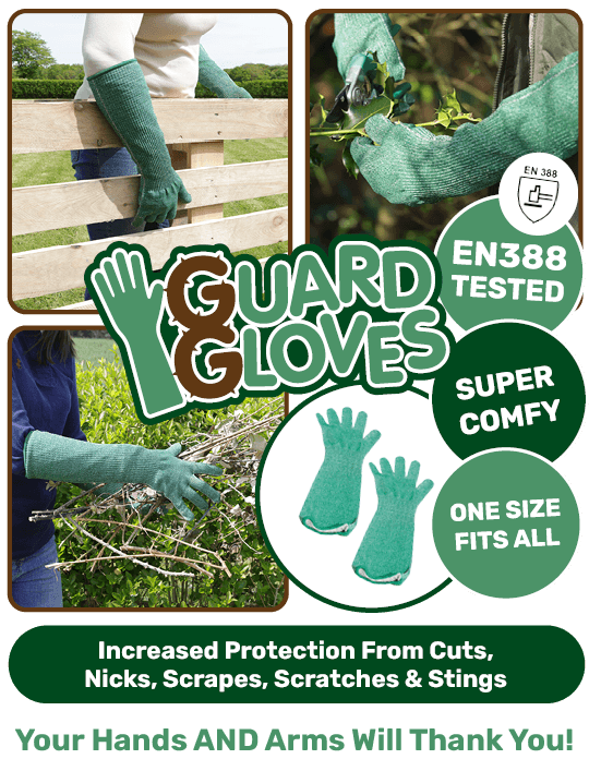 Guard Gloves