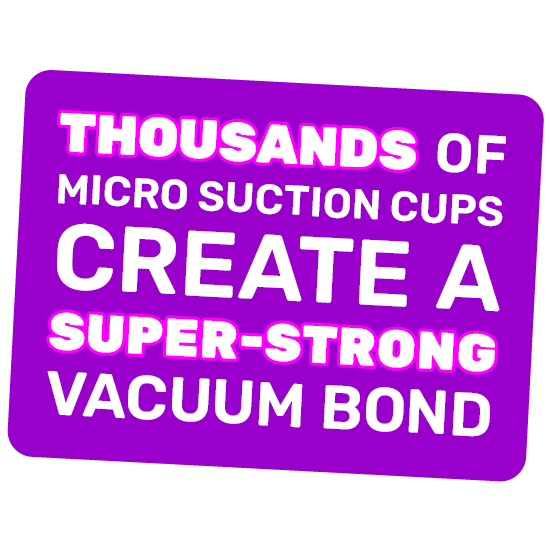 Thousands Of Micro Suctions Cups Create A Super-Strong Vacuum Bond