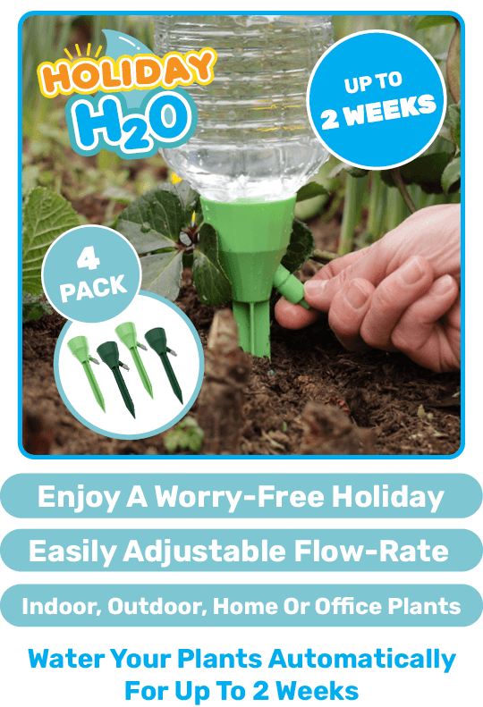 Holiday H2O
