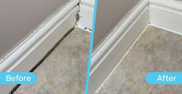 Before and After shot of Mould Magic working on a floor