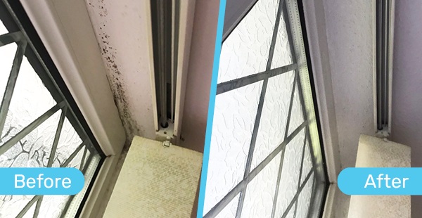 Before and After shot of Mould Magic working on a window seal