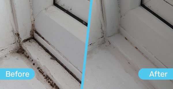 Before and After shot of Mould Magic working on a sealed corner