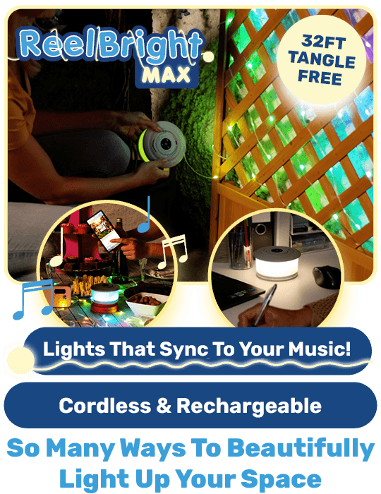 ReelBright Max