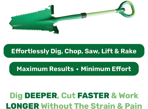 Product Name Here