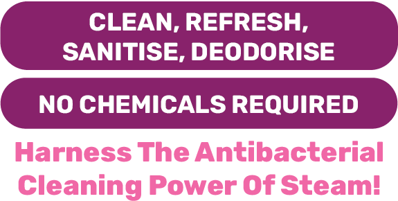 Harness the antibacterial cleaning power of steam!